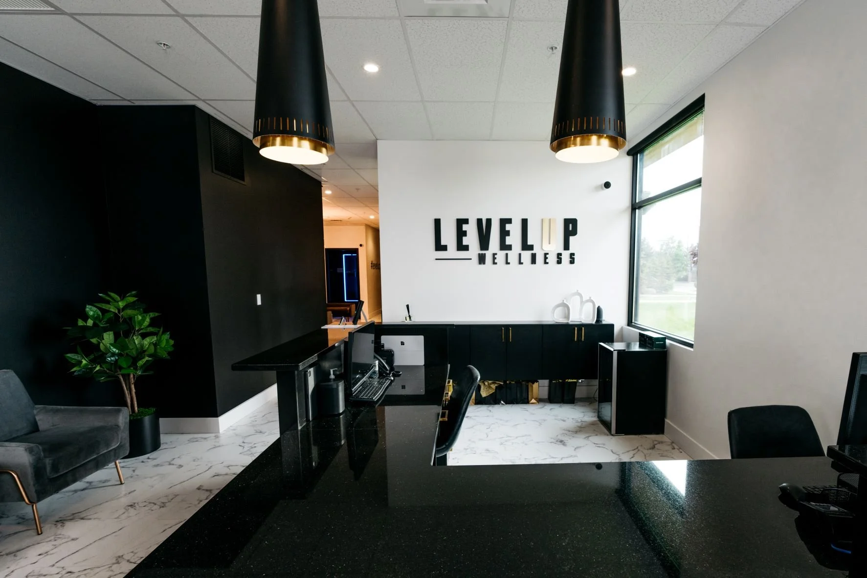 Level Up Wellness Group