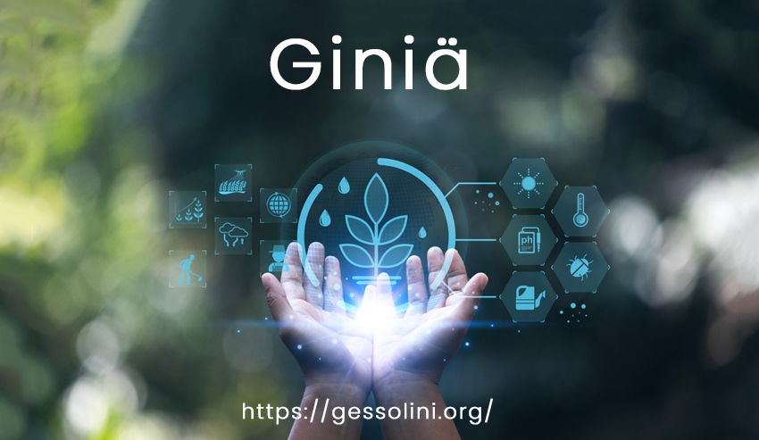 Giniä: A Modern Symbol of Balance, Innovation, and Cultural Harmony