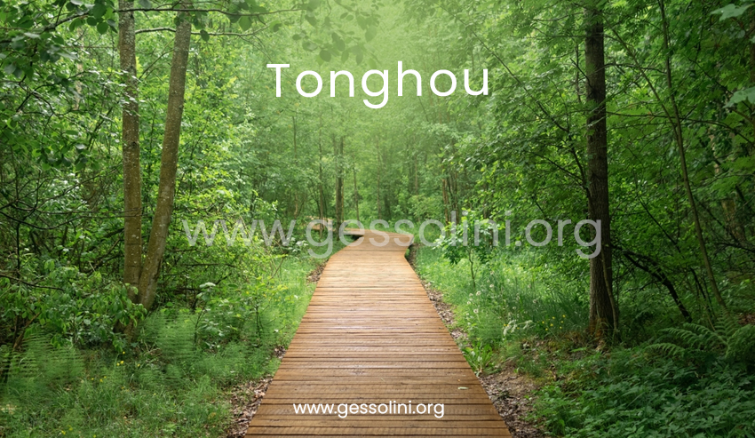 Tonghou: A Hidden Paradise of Trails, Lakes, and Untouched Wilderness