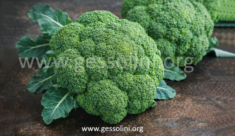 Crocolini: The Elegant Green That Elevates Everyday Cooking