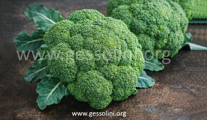 Crocolini: The Elegant Green That Elevates Everyday Cooking